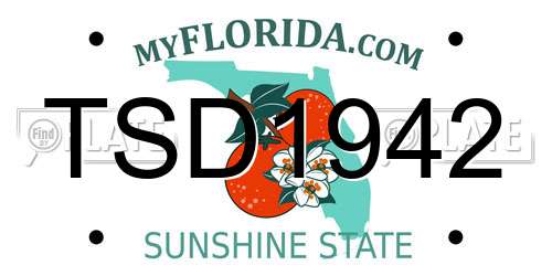 TSD1942 Florida License Plate