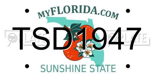 TSD1947 Florida License Plate