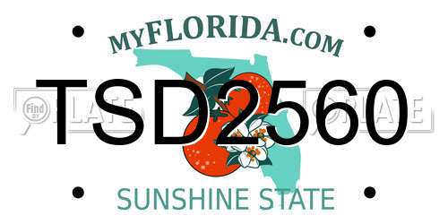 TSD2560 Florida License Plate