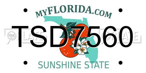 TSD7560 Florida License Plate