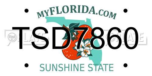 TSD7860 Florida License Plate