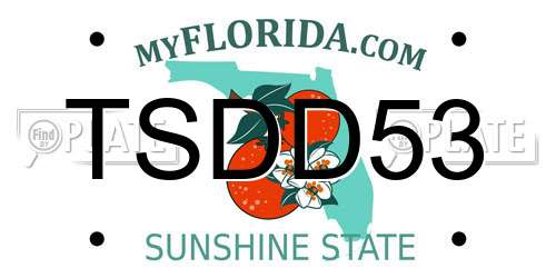 TSDD53 Florida License Plate