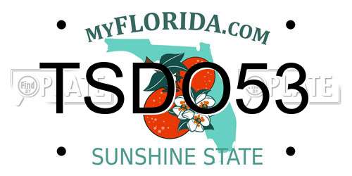 TSDO53 Florida License Plate