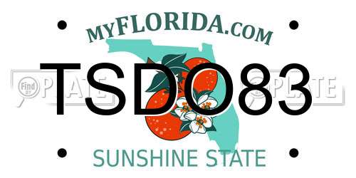 TSDO83 Florida License Plate