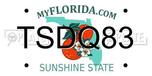 TSDQ83 Florida License Plate