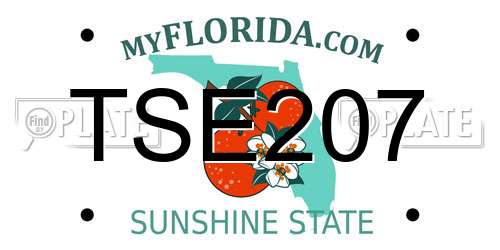 TSE207 Florida License Plate