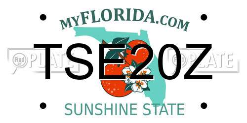 TSE20Z Florida License Plate
