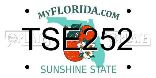 TSE252 Florida License Plate