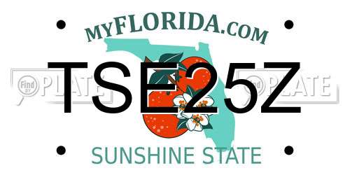 TSE25Z Florida License Plate