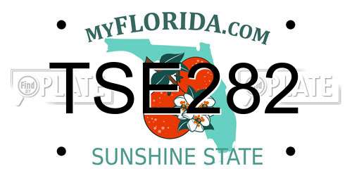 TSE282 Florida License Plate