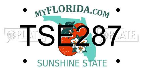 TSE287 Florida License Plate