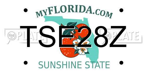 TSE28Z Florida License Plate