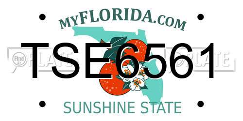 TSE6561 Florida License Plate