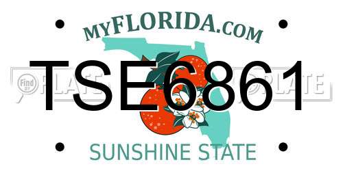 TSE6861 Florida License Plate