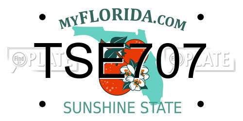TSE707 Florida License Plate