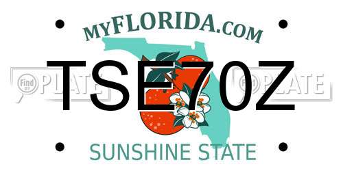 TSE70Z Florida License Plate