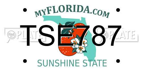 TSE787 Florida License Plate
