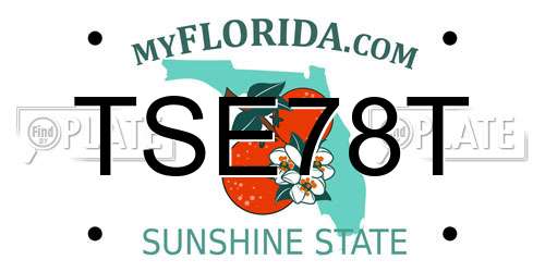 TSE78T Florida License Plate