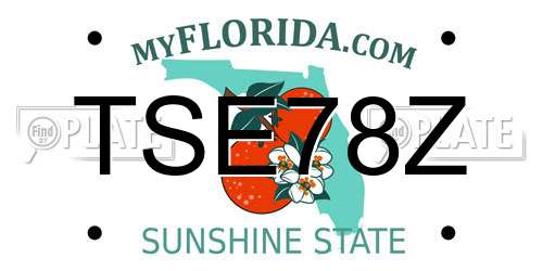 TSE78Z Florida License Plate