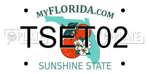 TSET02 Florida License Plate
