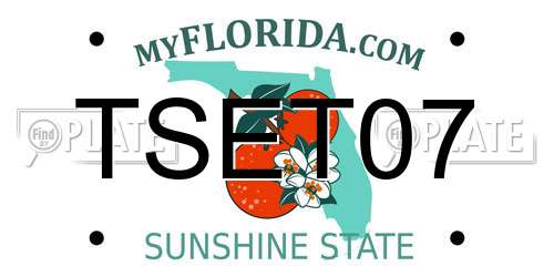 TSET07 Florida License Plate