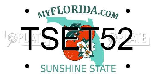 TSET52 Florida License Plate
