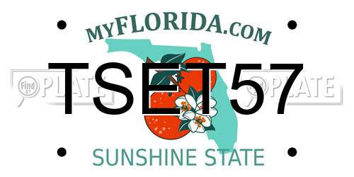 TSET57 Florida License Plate