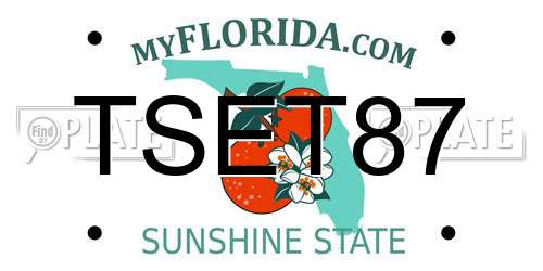 TSET87 Florida License Plate