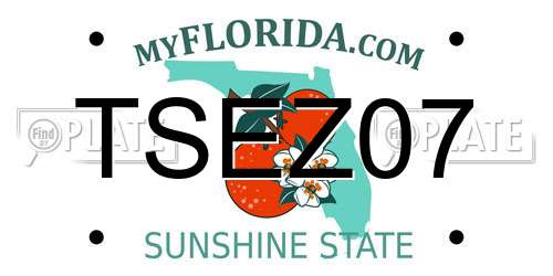 TSEZ07 Florida License Plate