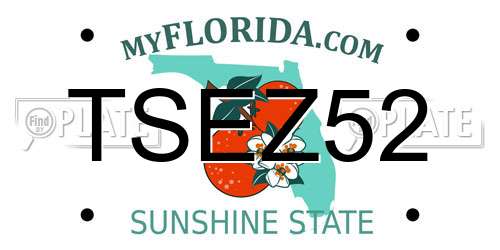 TSEZ52 Florida License Plate