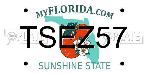 TSEZ57 Florida License Plate