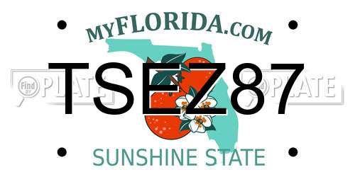 TSEZ87 Florida License Plate
