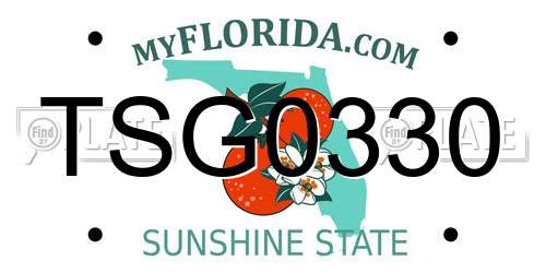 TSG0330 Florida License Plate