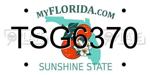 TSG6370 Florida License Plate