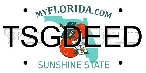 TSGDEED Florida License Plate