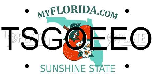 TSGOEEO Florida License Plate