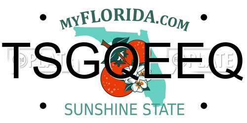 TSGQEEQ Florida License Plate