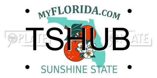 TSHUB Florida License Plate