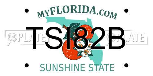 TSI82B Florida License Plate