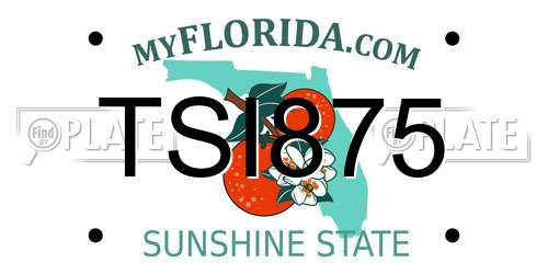 TSI875 Florida License Plate