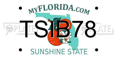 TSIB78 Florida License Plate