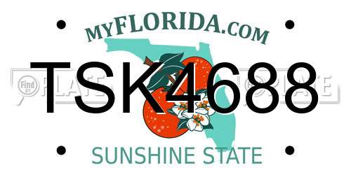 TSK4688 Florida License Plate