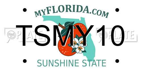 TSMY10 Florida License Plate
