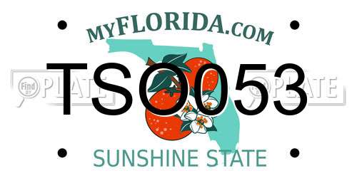 TSO053 Florida License Plate