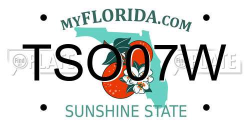 TSO07W Florida License Plate