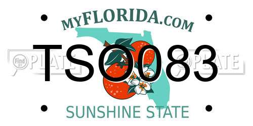 TSO083 Florida License Plate
