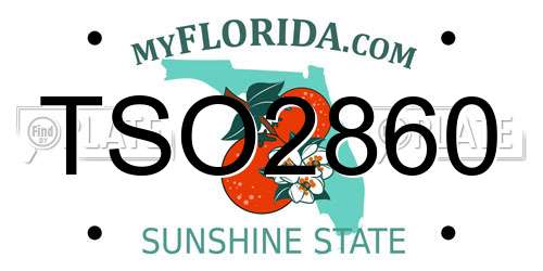 TSO2860 Florida License Plate