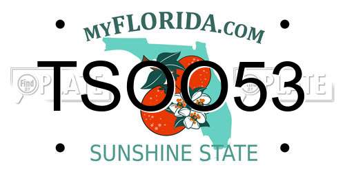 TSOO53 Florida License Plate