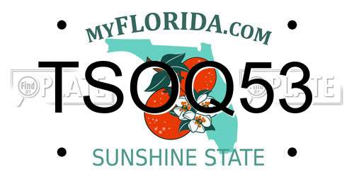 TSOQ53 Florida License Plate