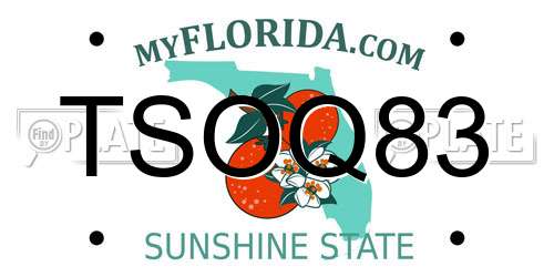 TSOQ83 Florida License Plate